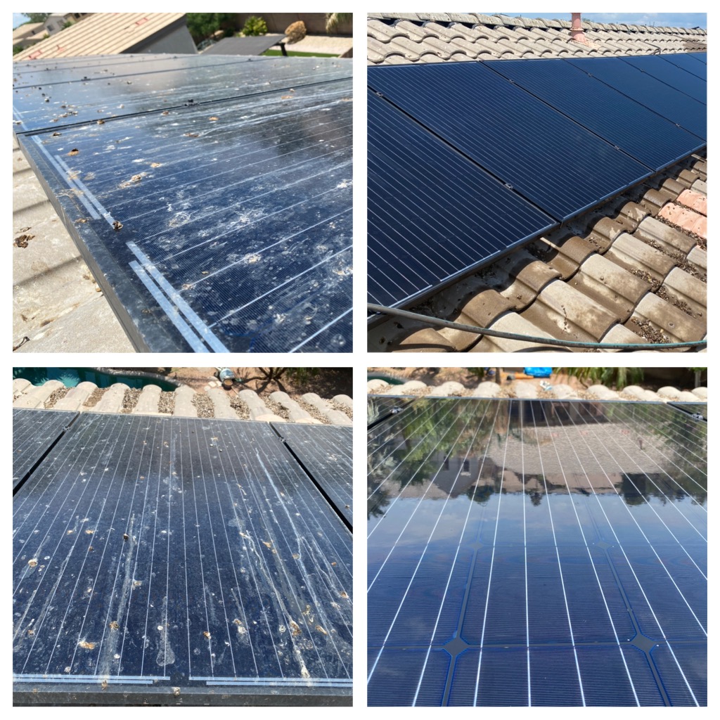 solar panel cleaning services