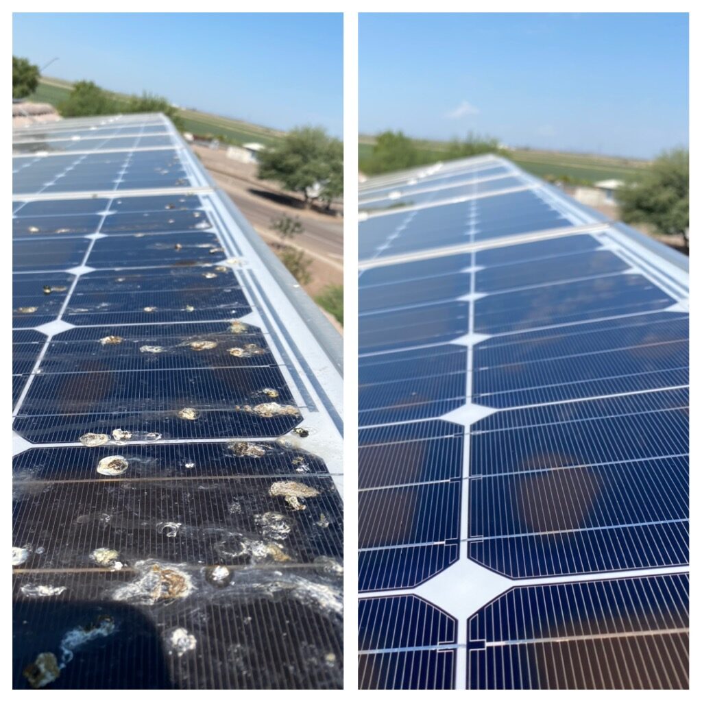 solar panel cleaning services